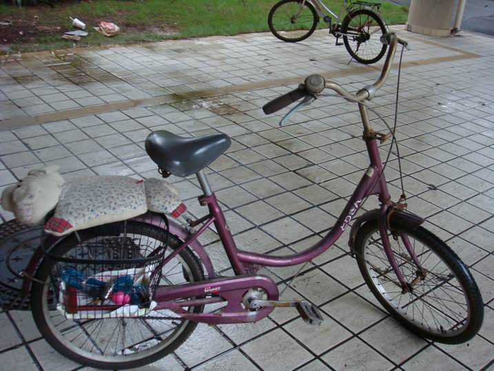 bike2.JPG