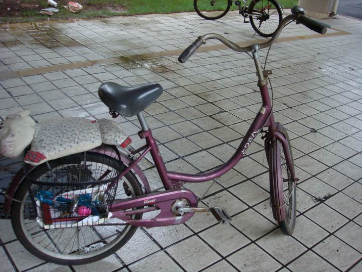 bike1.JPG