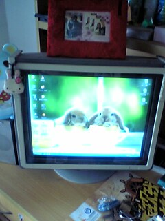 三星17寸显示器88元