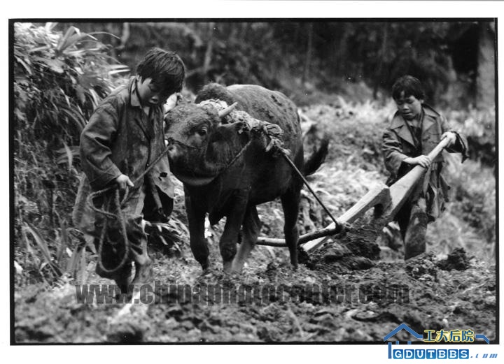 13.而在这里，两个孩子却因付不起区区百来元的学费而被迫缀学在家，过早地肩负起了生活的重担，对他们来说