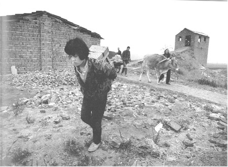 34.为了能上学，每天去给一家窑厂背砖坯，她每次背16块，重40公斤，走140米，只得3分3厘工钱