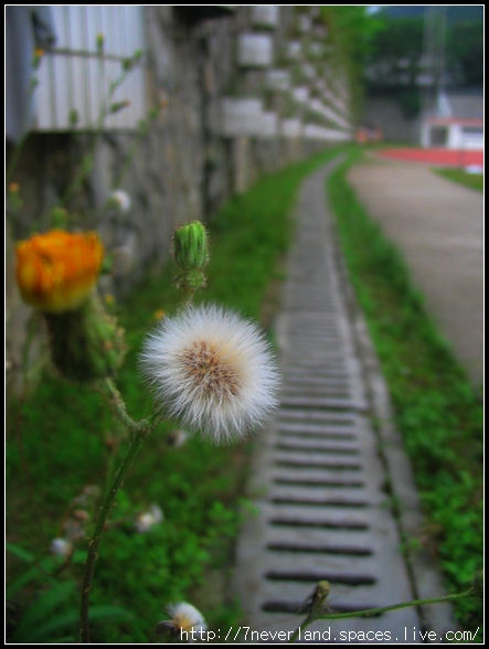 重遊龍洞 044.jpg