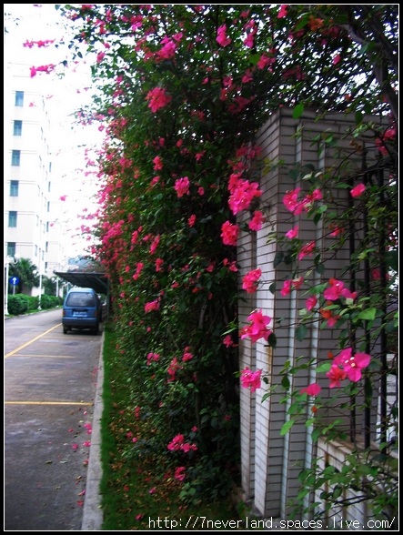 重遊龍洞 035.jpg