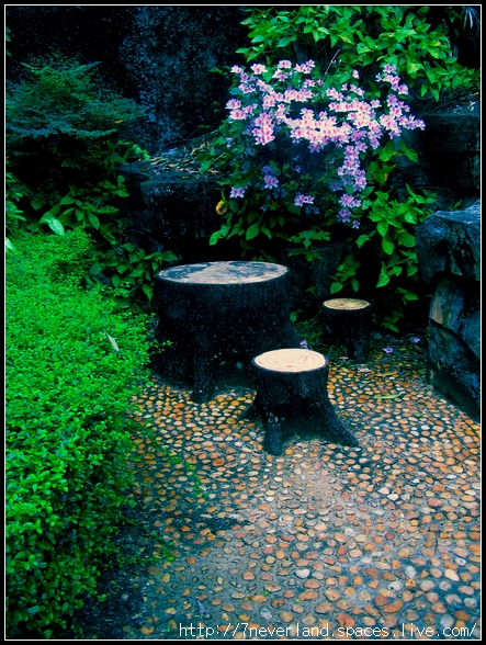 重遊龍洞 003.jpg