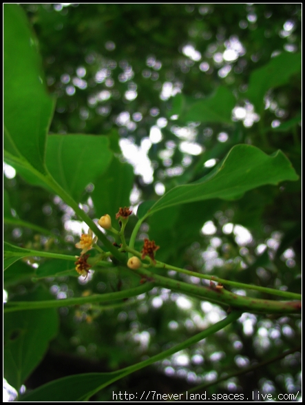 重遊龍洞 056.jpg