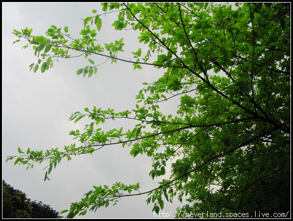 重遊龍洞 059.jpg