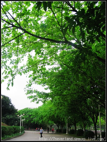 重遊龍洞 061.jpg