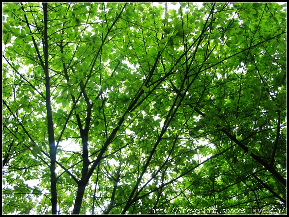 重遊龍洞 075.jpg