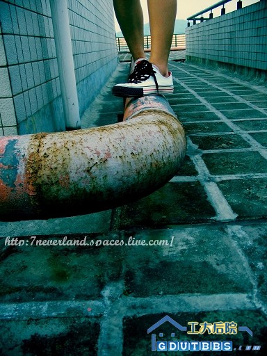 九楼水管上的独舞